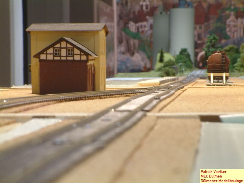 merfeld02.JPG