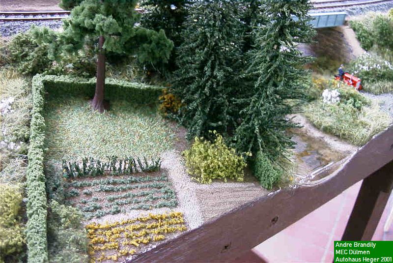 heger0121.jpg