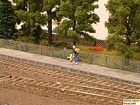 DSCF0391.JPG