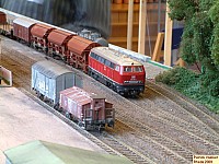 DSCF0397.JPG