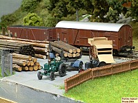 DSCF0446.JPG