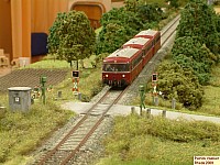 DSCF0468.JPG