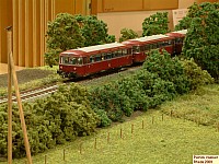 DSCF0469.JPG