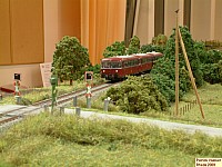 DSCF0470.JPG