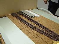 120228merfeldmodell03.jpg 120228merfeldmodell03.jpg