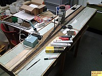 130212merfeldmodell01.jpg 130212merfeldmodell01.jpg