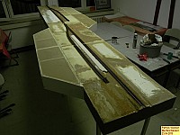 130423merfeldmodell02.jpg 130423merfeldmodell02.jpg