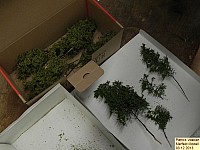 131203merfeldmodell3.jpg 131203merfeldmodell3.jpg