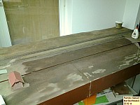 140222merfeldmodell1.JPG 140222merfeldmodell1.JPG