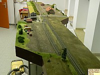 140311merfeldmodell4.JPG