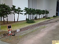 140624merfeldmodell1.JPG 140624merfeldmodell1.JPG