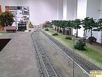 140624merfeldmodell2.JPG