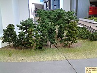 140628merfeldmodell1.JPG 140628merfeldmodell1.JPG